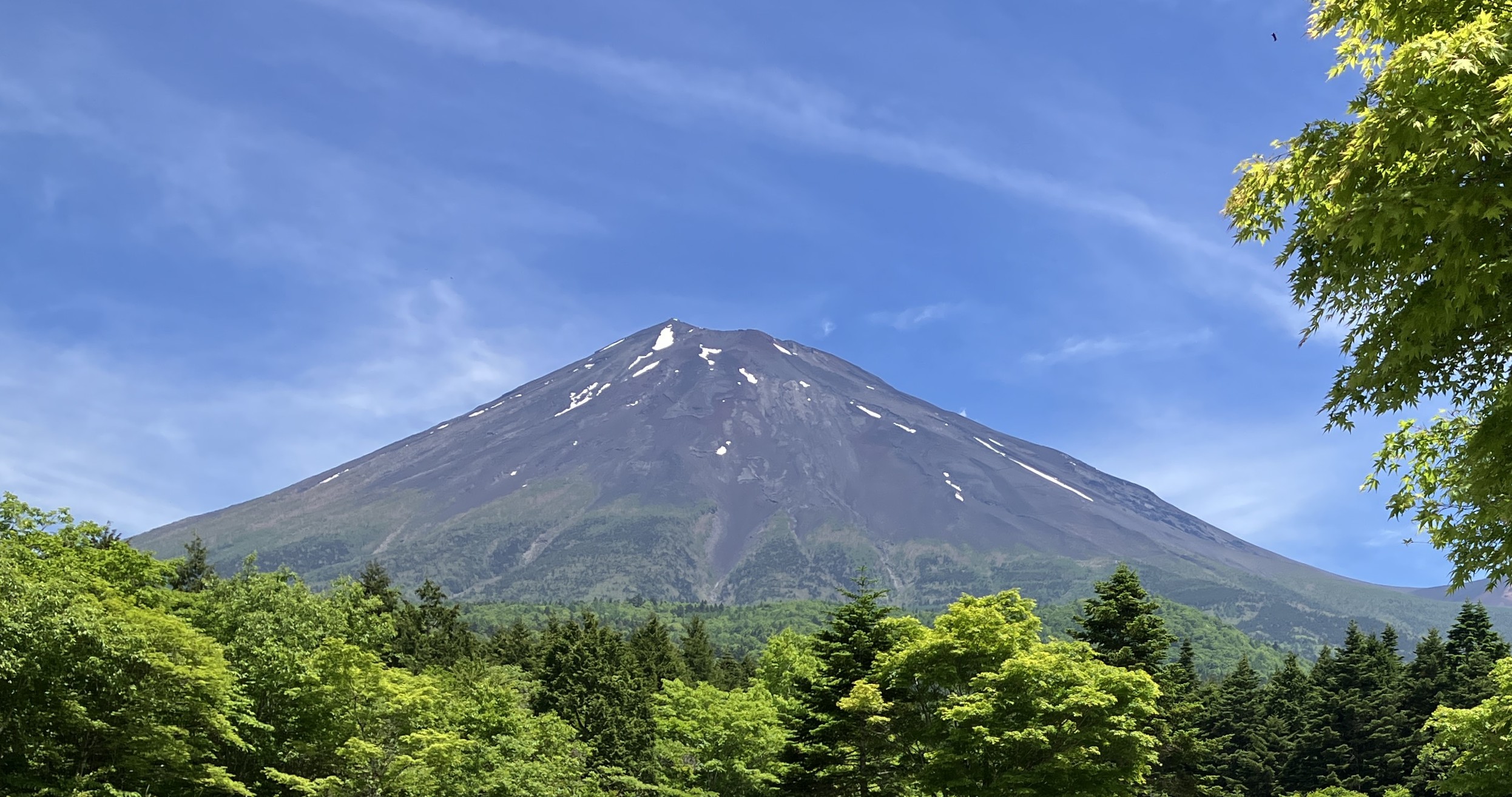 山開き直前の富士山　外来植物の侵入を防ぐ取り組み