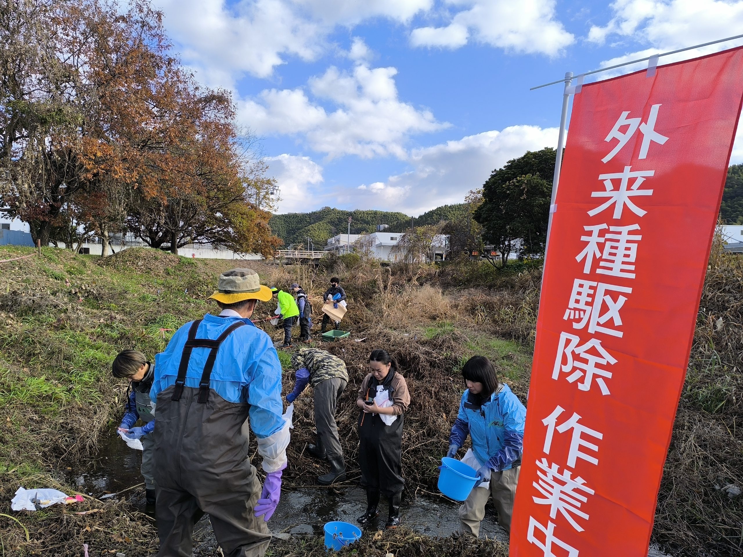 浅畑川で産官学民連携によりナガエツルノゲイトウ対策を行いました